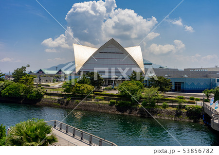 いおワールドかごしま水族館の写真素材 [53856782] - PIXTA