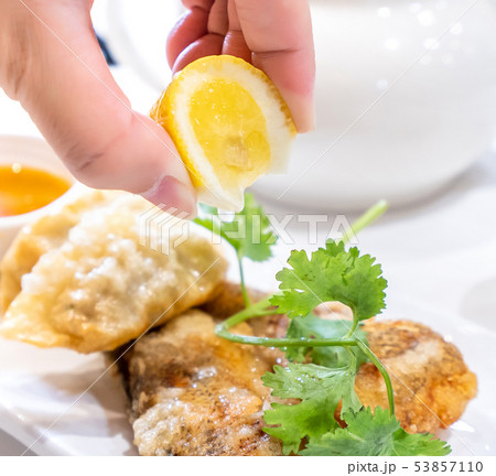 魚 魚類 サカナ 53857110