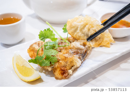 魚 魚類 サカナ 53857113