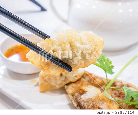 魚 魚類 サカナ 53857114