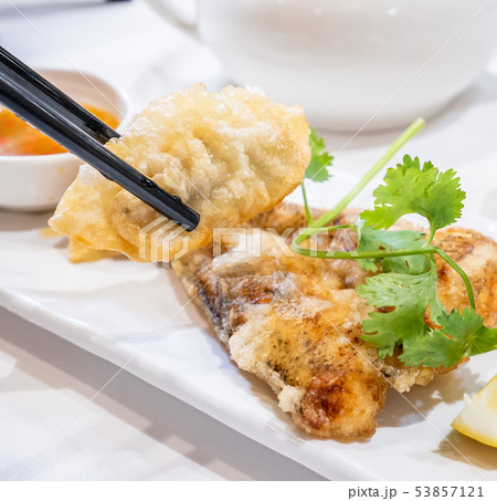 魚 魚類 サカナ 53857121