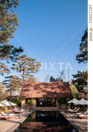 Resort style swimming pool in pine forest under 53857187