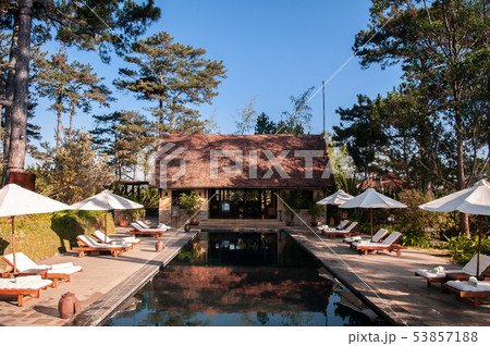 Resort style swimming pool in pine forest under 53857188