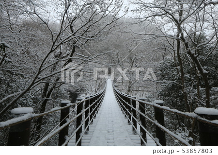 花貫渓谷 吊り橋の雪景色 花貫渓谷 吊り橋の雪景色 53857803