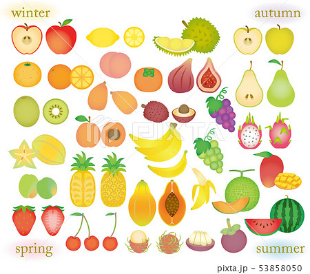 季節の果物セットグラデーションのイラスト素材