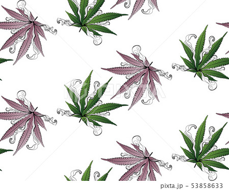 Marijuana colorful leaf 53858633