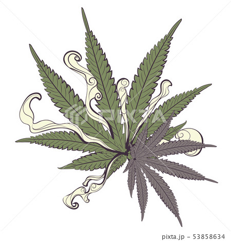 Marijuana colorful leaf Marijuana colorful leaf 53858634