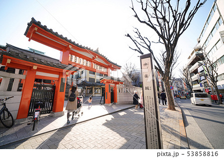 日本の東京都市景観 神楽坂・毘沙門天善國寺などを望む 日本の東京都市景観 神楽坂・毘沙門天善國寺などを望む 53858816