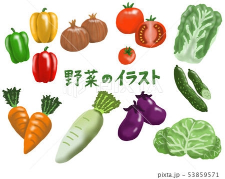 野菜のイラスト 53859571