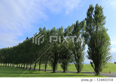 北海道 札幌 モエレ沼公園 北海道 札幌 モエレ沼公園 53860358