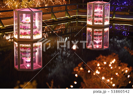冬景色 クリスマスイルミネーション 冬景色 クリスマスイルミネーション 53860542