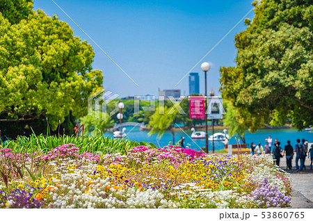 都会のオアシス　初夏の大濠公園【福岡県】 53860765