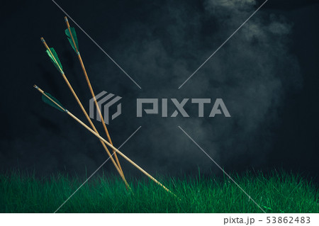 Three wooden arrows in the grass. Beautiful smog 53862483