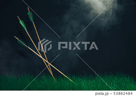 Three wooden arrows in the grass. Beautiful smog 53862484