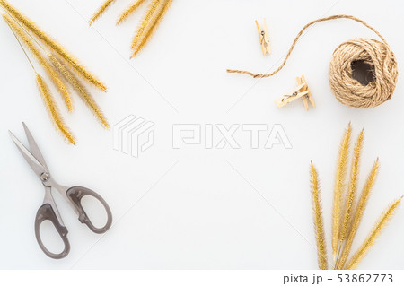 Dry grass, a coil of rope and scissor isolated on Dry grass, a coil of rope and scissor isolated on 53862773