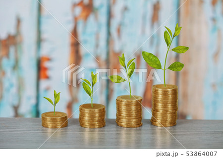 Tree growing on coins stack ,concept of investment 53864007