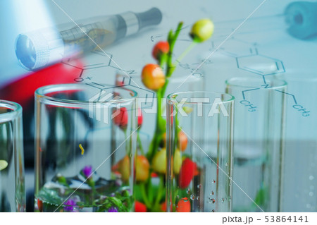 Small plants in test tube for biotechnology Small plants in test tube for biotechnology 53864141
