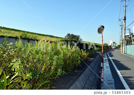 荒川河川敷沿い 笹目付近 53865303