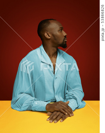 Young man as a medieval grandee on red background Young man as a medieval grandee on red background 53866826