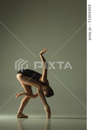 Young graceful female ballet dancer dancing in mixed light 53866908