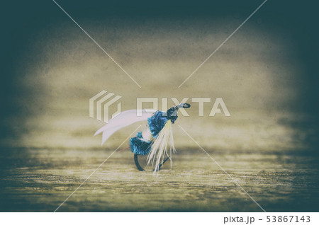 Fly fishing lure retro style 53867143