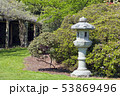 Spring garden with oriental grey stone lantern 53869496