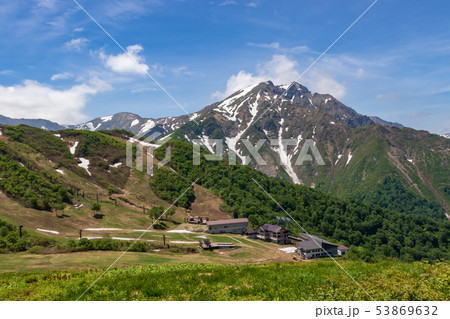 初夏の天神平 53869632
