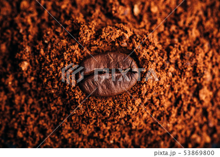 Coffee bean on heap of ground coffee Coffee bean on heap of ground coffee 53869800