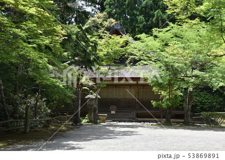 新緑の神護寺　太子堂 53869891