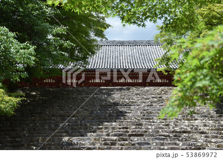 新緑の神護寺　金堂 53869972