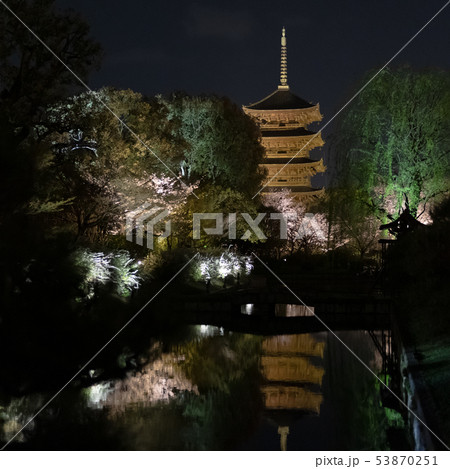京都・東寺の夜桜ライトアップ 京都・東寺の夜桜ライトアップ 53870251