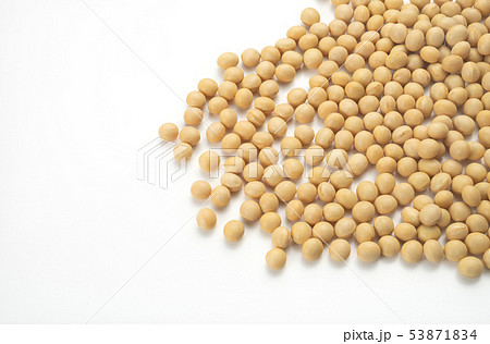 大豆 53871834