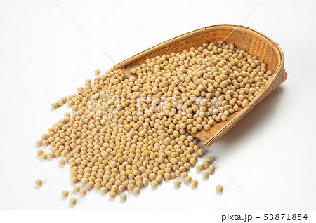 大豆 53871854