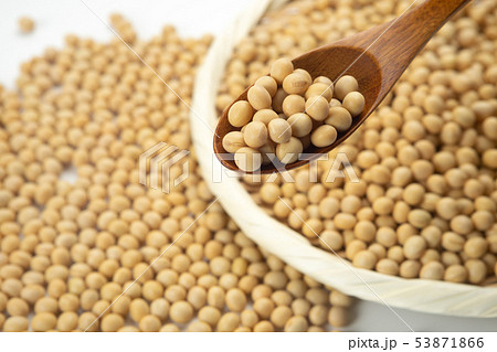 大豆 大豆 53871866