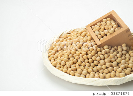 大豆 大豆 53871872
