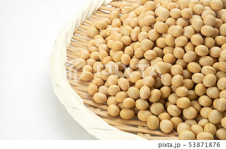 大豆 53871876