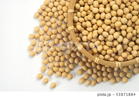 大豆 大豆 53871884