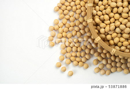 大豆 大豆 53871886