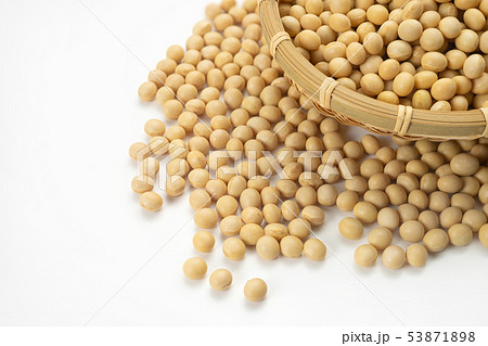 大豆 大豆 53871898