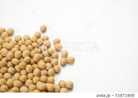 大豆 大豆 53871900