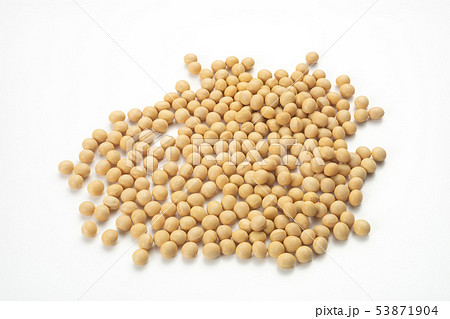大豆 大豆 53871904