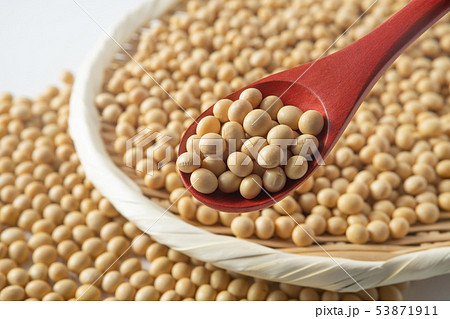 大豆 53871911