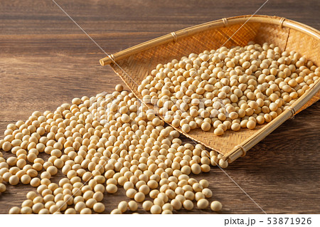大豆 53871926