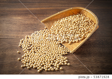 大豆 53871928