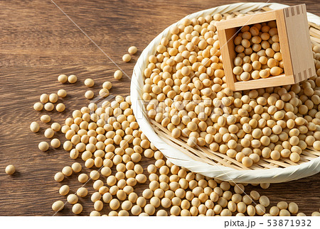 大豆 53871932