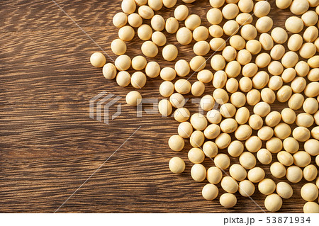 大豆 大豆 53871934