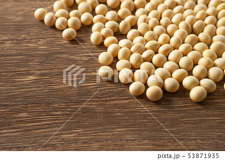 大豆 53871935