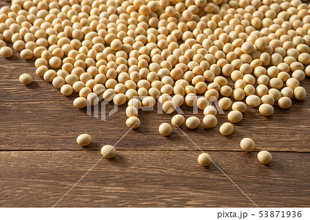 大豆 53871936