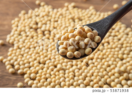 大豆 大豆 53871938