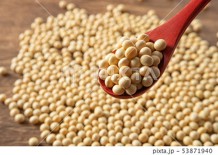 大豆 53871940